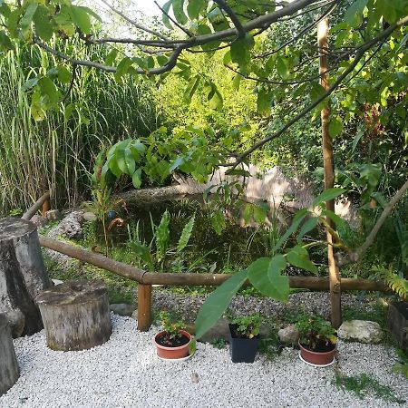 Zagroda Podlas - Gospodarstwo Agroturystyczne Aleksandrow k Bilgoraja Extérieur photo