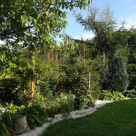 Zagroda Podlas - Gospodarstwo Agroturystyczne Aleksandrow k Bilgoraja Extérieur photo