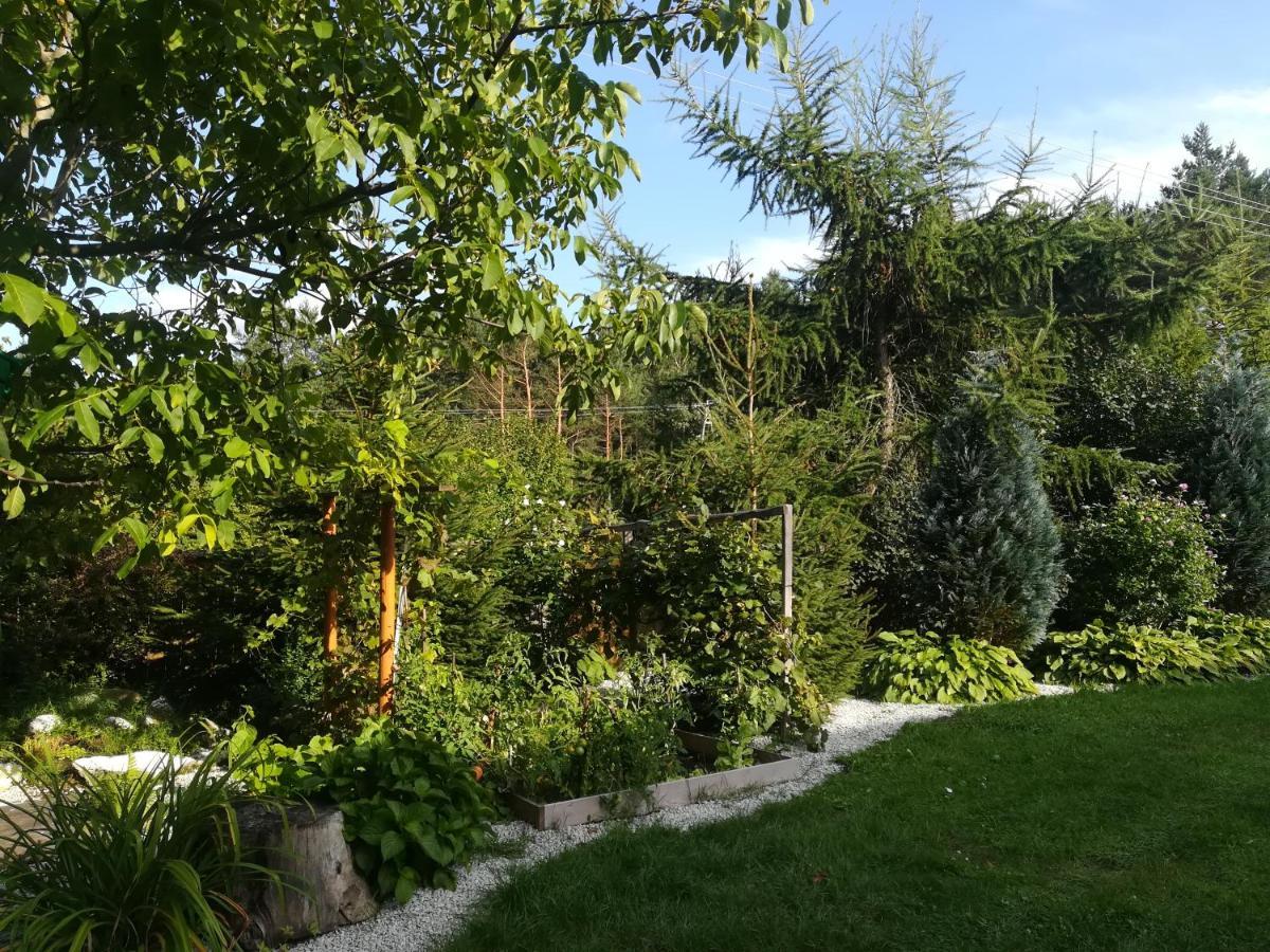 Zagroda Podlas - Gospodarstwo Agroturystyczne Aleksandrow k Bilgoraja Extérieur photo