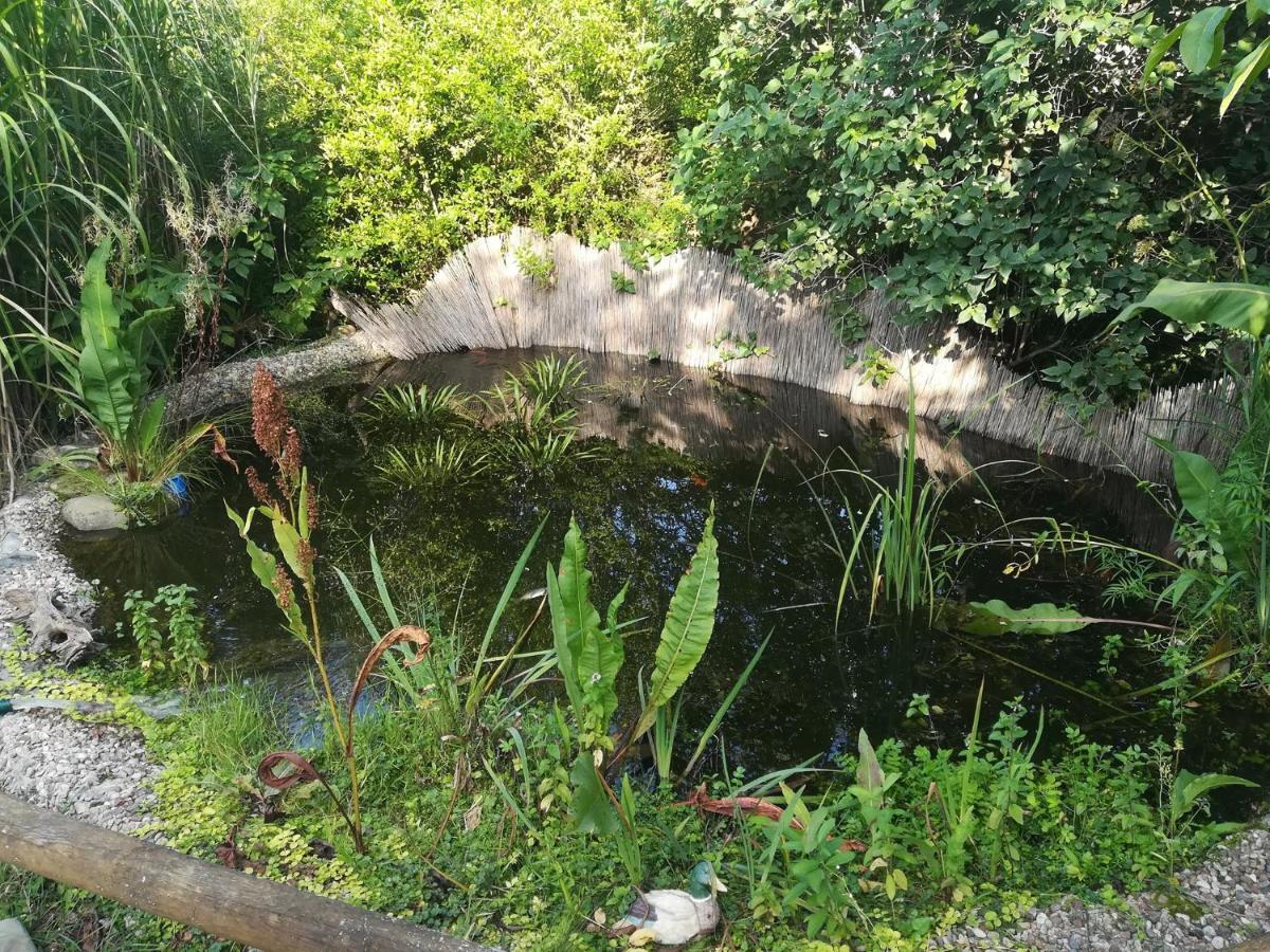 Zagroda Podlas - Gospodarstwo Agroturystyczne Aleksandrow k Bilgoraja Extérieur photo