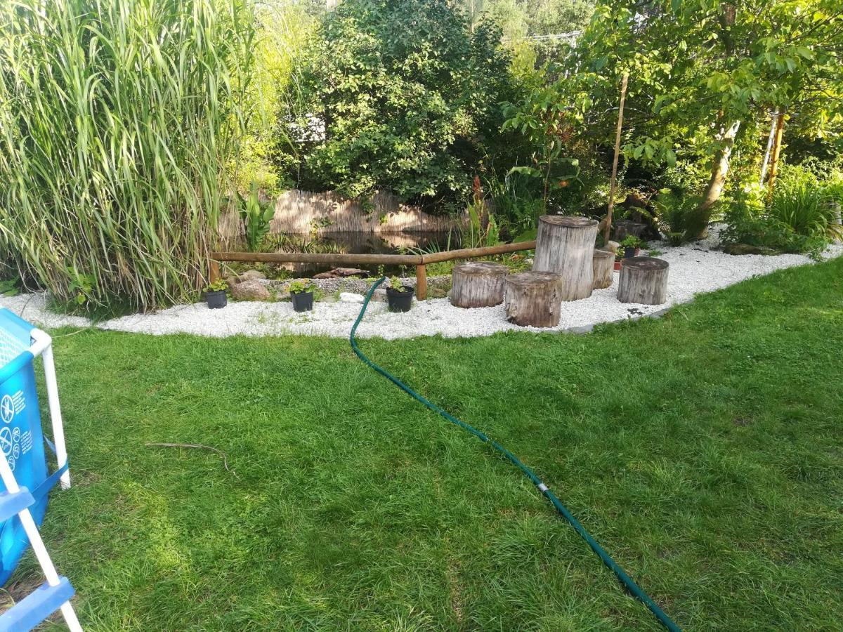 Zagroda Podlas - Gospodarstwo Agroturystyczne Aleksandrow k Bilgoraja Extérieur photo