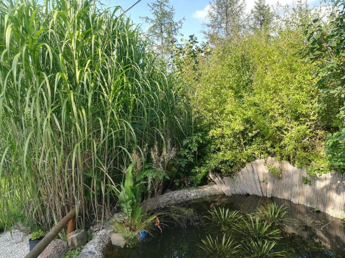 Zagroda Podlas - Gospodarstwo Agroturystyczne Aleksandrow k Bilgoraja Extérieur photo