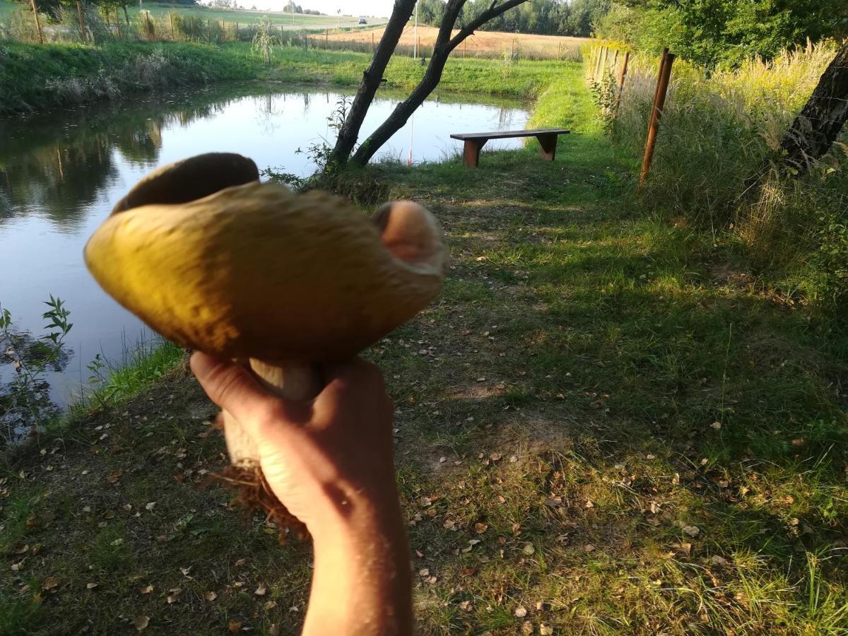 Zagroda Podlas - Gospodarstwo Agroturystyczne Aleksandrow k Bilgoraja Extérieur photo
