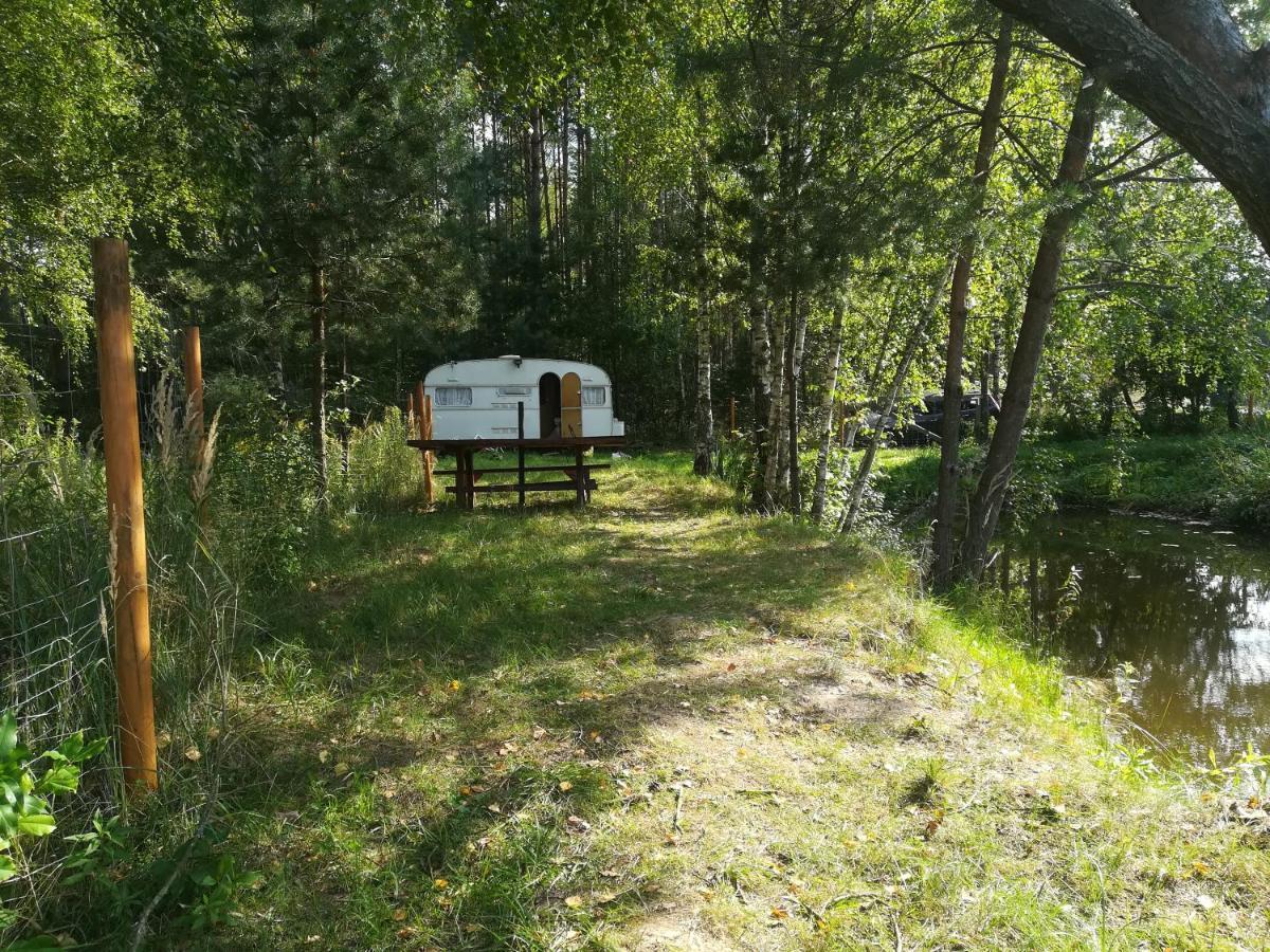 Zagroda Podlas - Gospodarstwo Agroturystyczne Aleksandrow k Bilgoraja Extérieur photo